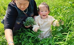 我与恶魔的h生活 漫画